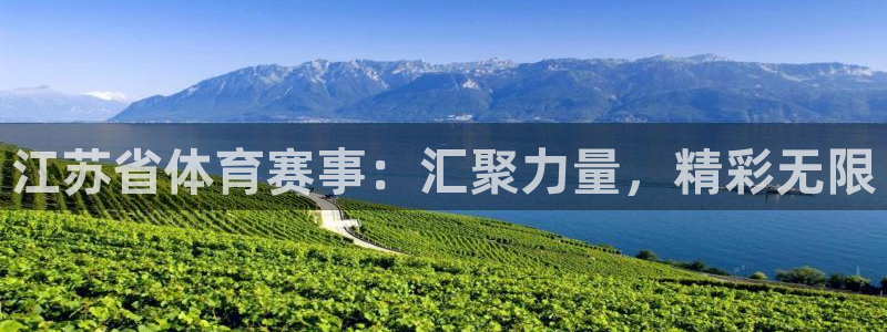 江苏省体育赛事：汇聚力量，精彩无限