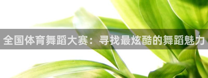 全国体育舞蹈大赛：寻找最炫酷的舞蹈魅力