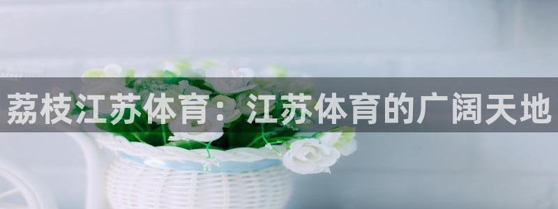 荔枝江苏体育：江苏体育的广阔天地