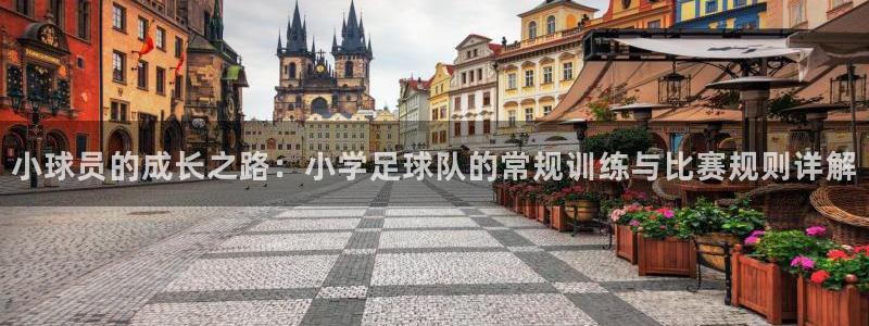 小球员的成长之路：小学足球队的常规训练与比赛规则详解