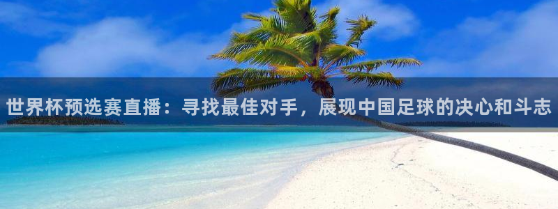 世界杯预选赛直播：寻找最佳对手，展现中国足球的决心和斗志