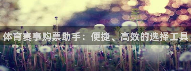体育赛事购票助手：便捷、高效的选择工具