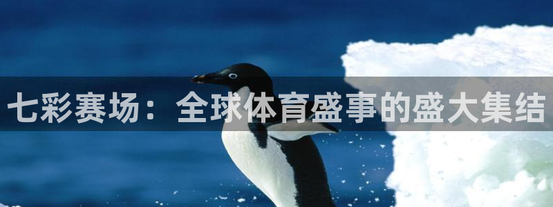 七彩赛场：全球体育盛事的盛大集结