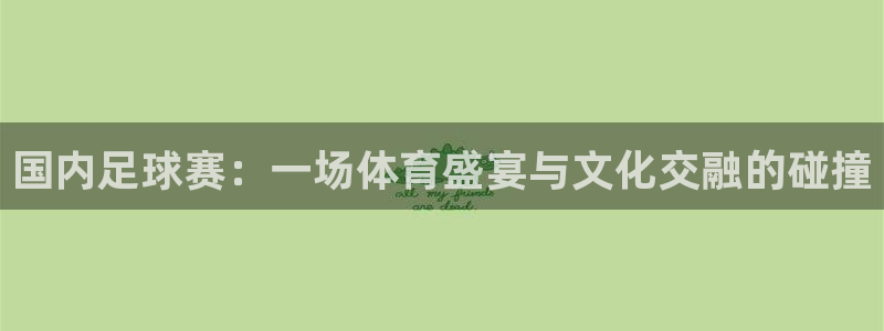 国内足球赛：一场体育盛宴与文化交融的碰撞