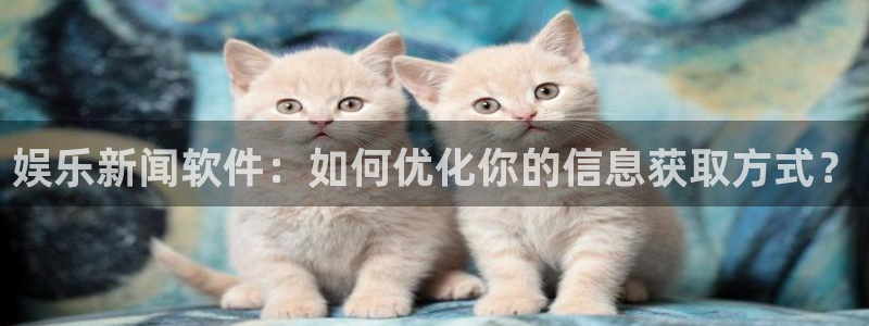 娱乐新闻软件：如何优化你的信息获取方式？