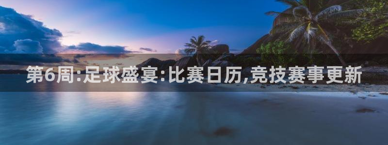 第6周:足球盛宴:比赛日历,竞技赛事更新