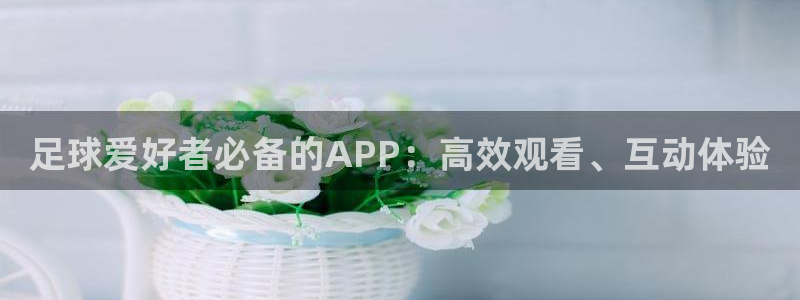 足球爱好者必备的APP：高效观看、互动体验