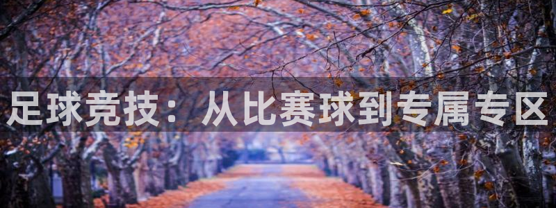 足球竞技：从比赛球到专属专区