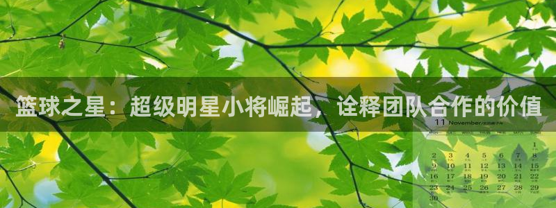 篮球之星：超级明星小将崛起，诠释团队合作的价值